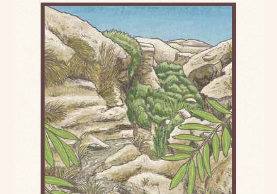 Flora y Vegetación